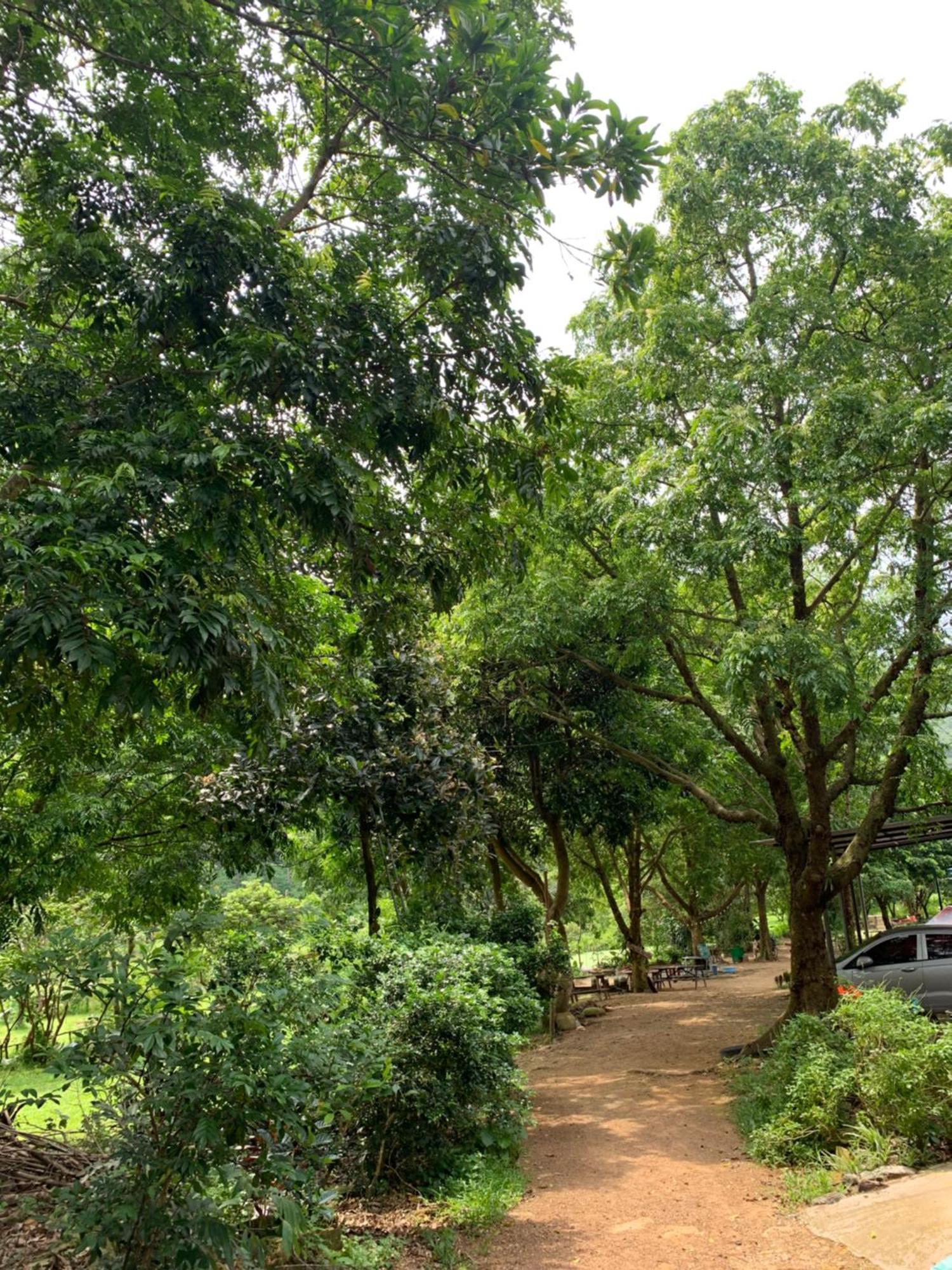 Chu Thien Homestay And Camping Hanoi Eksteriør billede